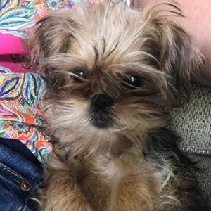 Meet your Posher, Barbara